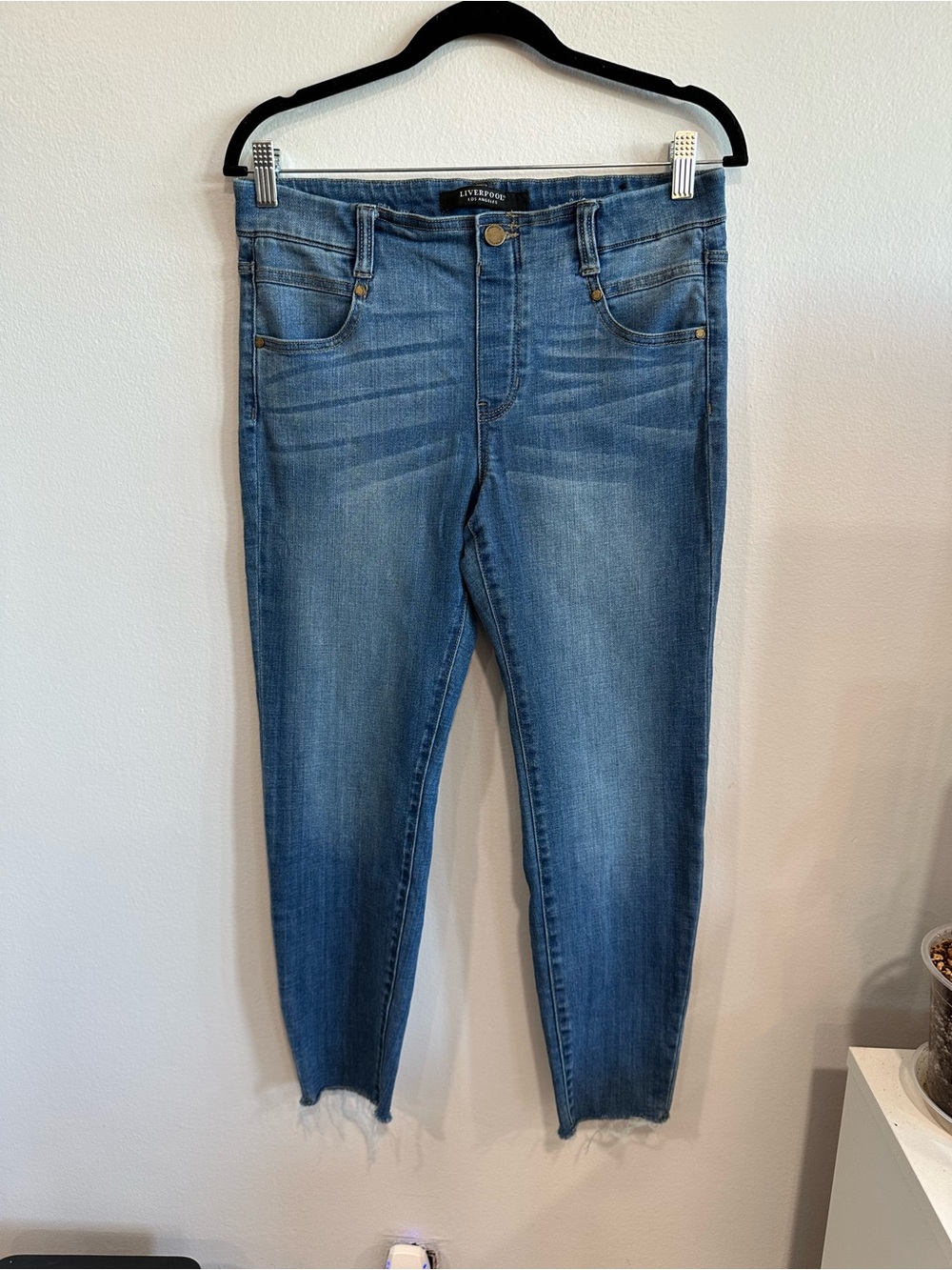 Liverpool Los Angeles Petite 8/29 Ankle Skinny Jeans Raw Hem Medium Wash